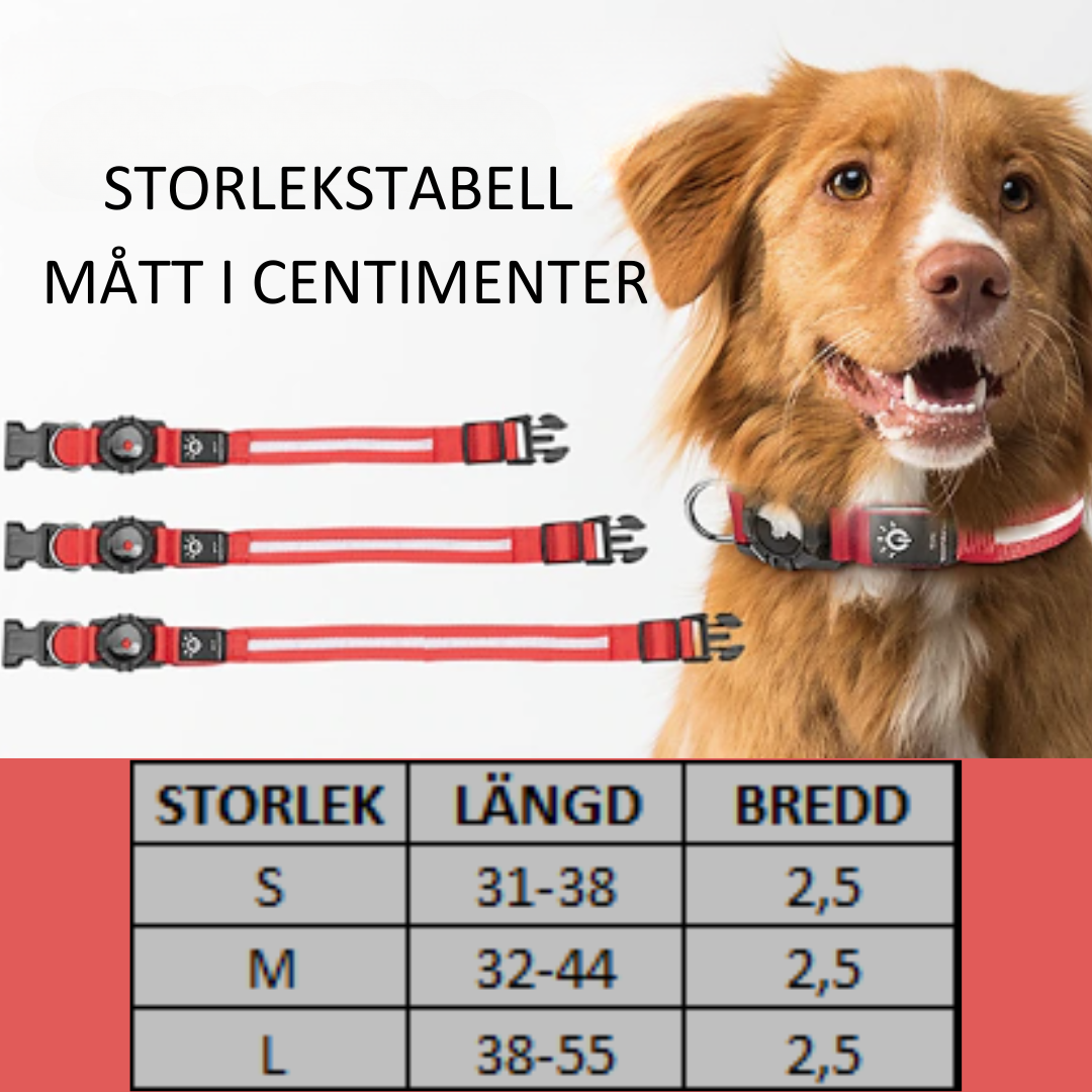 Doglight - Halsbandet med ljus och Airtaghållare