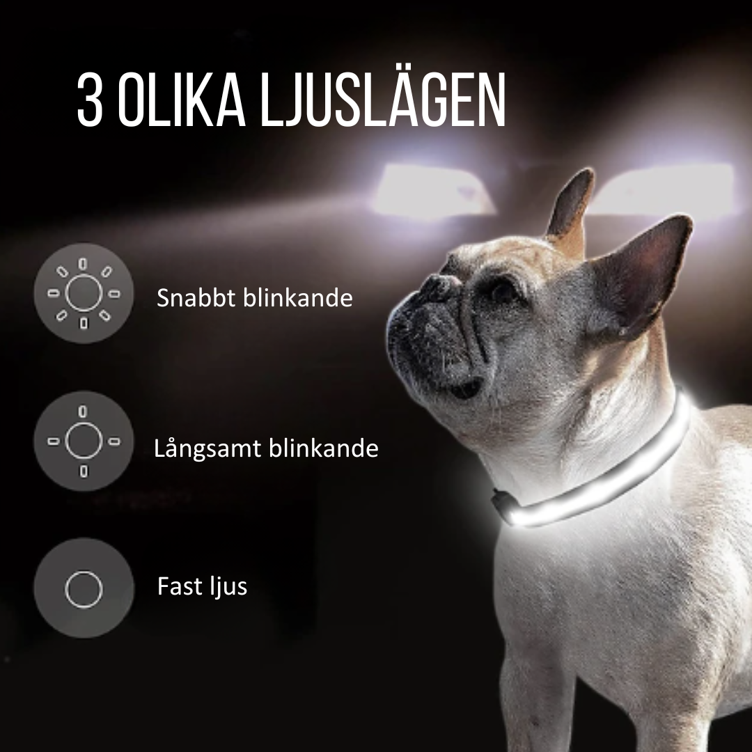 Doglight - Halsbandet med ljus och Airtaghållare